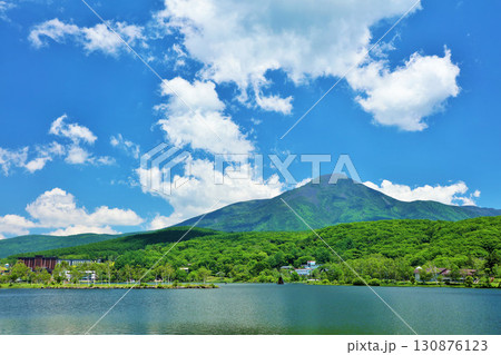 長野県 青空の白樺湖からの蓼科山 長野県 青空の白樺湖からの蓼科山 130876123