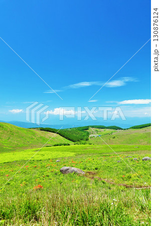 長野県 青空の霧ヶ峰 富士見台展望台からの風景 長野県 青空の霧ヶ峰 富士見台展望台からの風景 130876124