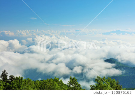 長野県 美ヶ原高原からの青空と雲海風景 長野県 美ヶ原高原からの青空と雲海風景 130876163