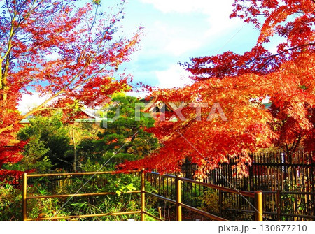 北野天満宮の紅葉 130877210
