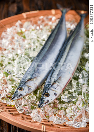 秋の味覚 活サンマ 秋の味覚 活サンマ 130877331