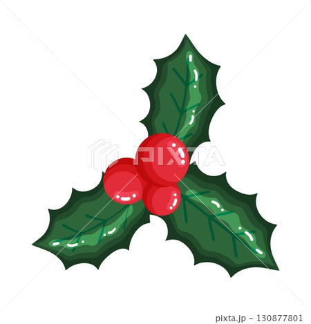 Isolated Christmas Holly Branch with Red Berries Illustration 130877801