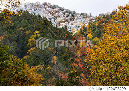【照葉峡】紅葉と雪山の饗宴 【照葉峡】紅葉と雪山の饗宴 130877900