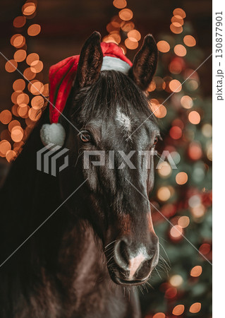 Cute horse in Santa Claus hat on the background of Christmas tree and golden bokeh lights. Vertical New Year background. Cute horse in Santa Claus hat on the background of Christmas tree and golden bokeh lights. Vertical New Year background. 130877901