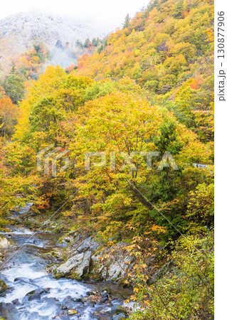 【照葉峡】紅葉と雪山の饗宴 【照葉峡】紅葉と雪山の饗宴 130877906