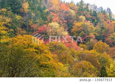 錦秋に彩られる照葉峡 130877913