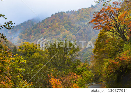 錦秋に彩られる照葉峡 錦秋に彩られる照葉峡 130877914