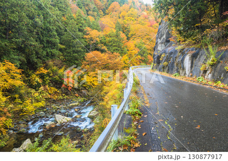 紅葉に彩られる奥利根ゆけむり街道 紅葉に彩られる奥利根ゆけむり街道 130877917
