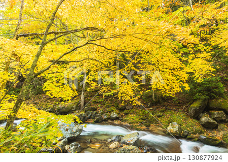 秋色に染まる照葉峡 130877924
