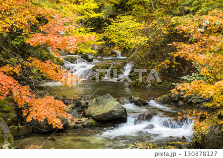 秋色に染まる照葉峡 130878127