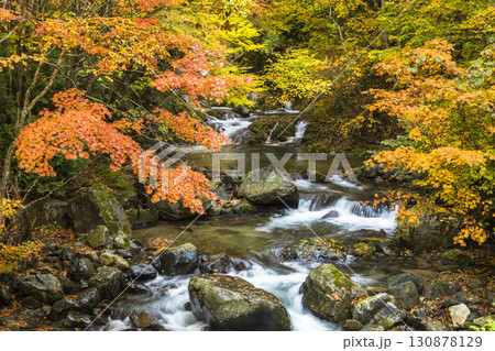 秋色に染まる照葉峡 130878129