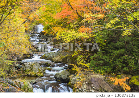 秋色に染まる照葉峡 秋色に染まる照葉峡 130878138