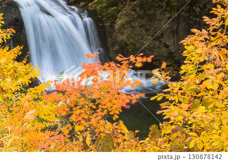 秋色に染まる照葉峡 130878142