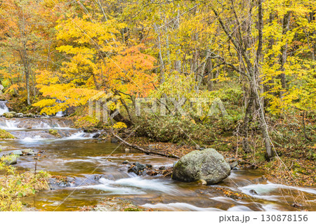 錦秋に彩られる照葉峡 130878156