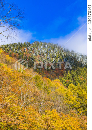 【照葉峡】青空に映える紅葉と残雪 【照葉峡】青空に映える紅葉と残雪 130878161