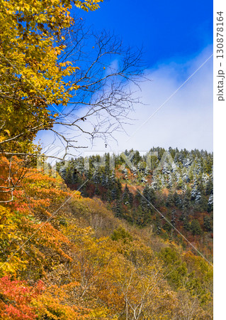 【照葉峡】青空に映える紅葉と残雪 130878164