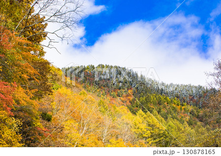 【照葉峡】青空に映える紅葉と残雪 【照葉峡】青空に映える紅葉と残雪 130878165