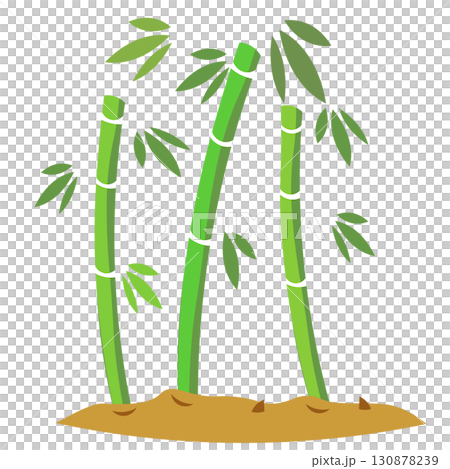 Illustration of a bamboo forest with bamboo shoots peeking out of the soil 130878239