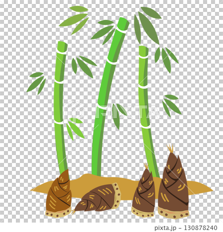 竹林和挖出的竹筍的插圖 竹林和挖出的竹筍的插圖 130878240