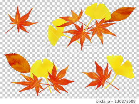 Autumn leaves, ginkgo, fallen leaves, fallen leaf decoration, watercolor style 130878609