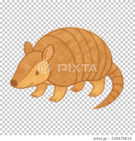 【動物】アルマジロのイラスト 【動物】アルマジロのイラスト 130878618