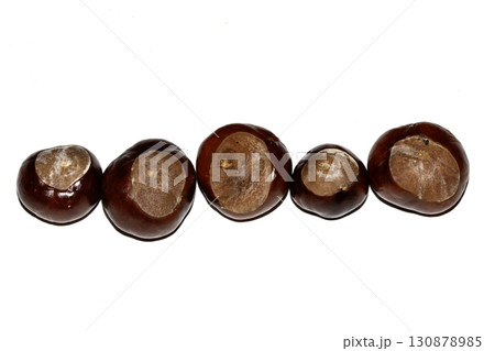 Close up of horse chestnut seed conkers on white background 130878985