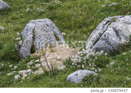 groundhog marmot hole nest in dolomites mountains groundhog marmot hole nest in dolomites mountains 130879437
