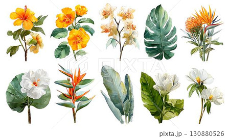 watercolor painting of leaf and flowers, seamless 130880526