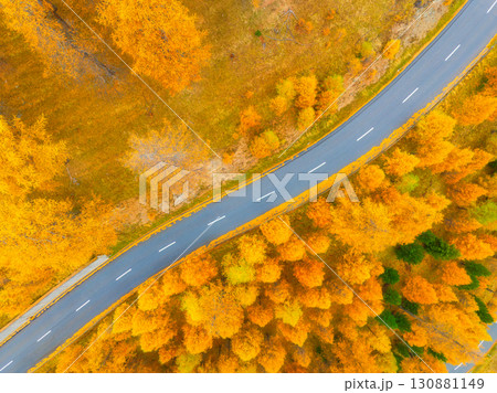 Road and autumn trees. Road in the middle of the forest and field. Drone view.  130881149