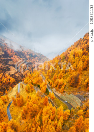 Forest asphalt road with serpentines. Multi-level road. Road in the middle of the forest. Forest asphalt road with serpentines. Multi-level road. Road in the middle of the forest. 130881152