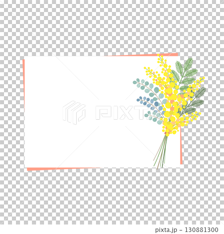 ミモザの花のベクター素材イラスト ミモザの花のベクター素材イラスト 130881300