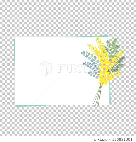 ミモザの花のベクター素材イラスト ミモザの花のベクター素材イラスト 130881301