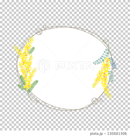 Mimosa flower vector material illustration Mimosa flower vector material illustration 130881306