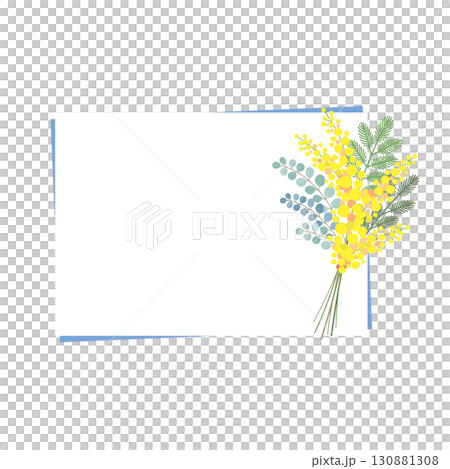 ミモザの花のベクター素材イラスト 130881308