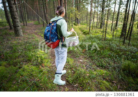Back view woman hiker foraging for mushrooms with basket on trail in pine forest alone in travel 130881361