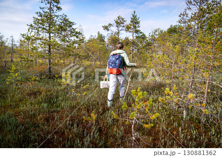 Woman hiker foraging in wooded bog terrain with mushroom basket and natural pole during autumn trip 130881362