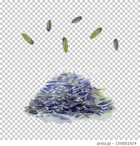 Lavender lavandula purple seeds heap hand drawn in watercolor. French Provence, cosmetics spa aromatherapy. Single object isolated illustration. Herbal candles, essential oil, sachet and potpourri 130881924