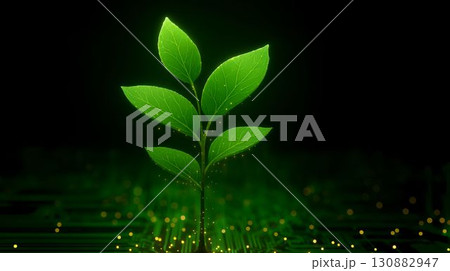 Green plant growing from a circuit board representing technology and nature merging in a digital environment 130882947