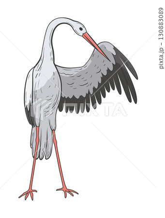 Crane bird in realistic style, high quality detail. Vector illustration 130883089
