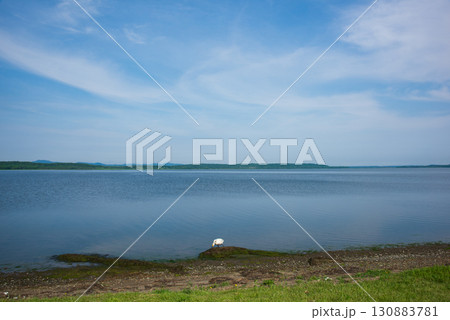 夏のクッチャロ湖風景 130883781