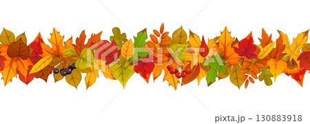 Autumn fall border divider with orange, red, and yellow maple, oak and rowan leaves foliage and berries. Cozy seasonal fall garland frame. Vector seasonal banner for thanksgiving or harvest holiday 130883918