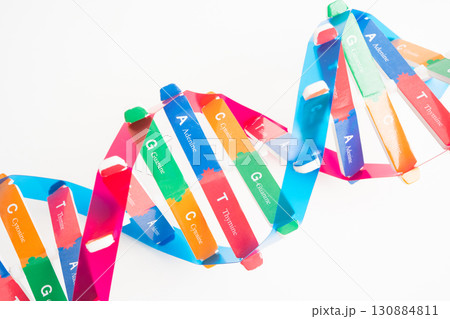 DNA or Deoxyribonucleic acid is a double helix chains structure formed by base pairs attached to a sugar phosphate backbone. DNA or Deoxyribonucleic acid is a double helix chains structure formed by base pairs attached to a sugar phosphate backbone. 130884811