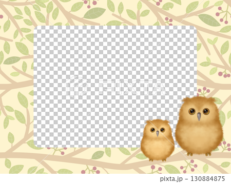 Owl Frame A Owl Frame A 130884875