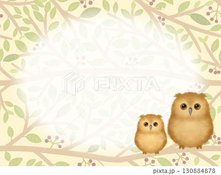 ミミズクの背景 B ミミズクの背景 B 130884878