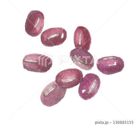 水彩で描いた小豆 アズキ 水彩で描いた小豆 アズキ 130885155