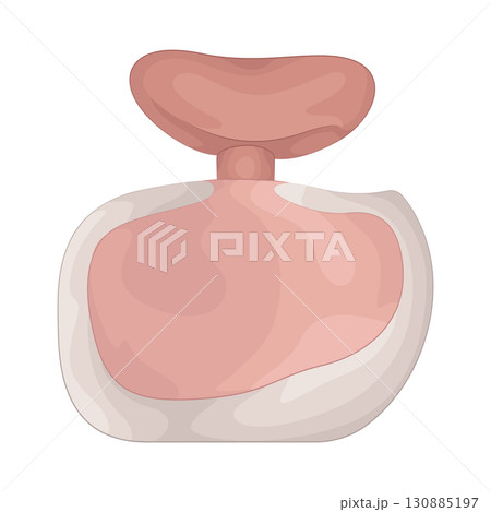 Illustration of perfume 130885197