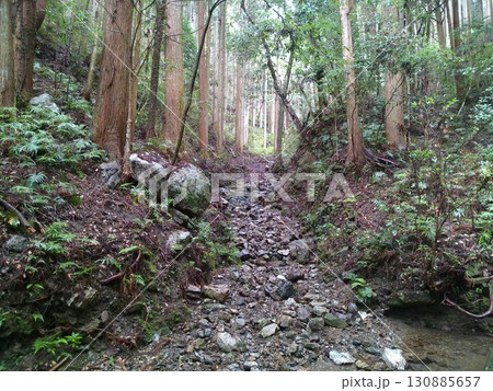 志摩市・天の岩戸の森を流れる沢の風景(9月) 志摩市・天の岩戸の森を流れる沢の風景(9月) 130885657