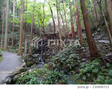 志摩市・天の岩戸に流れる清らかな滝(9月) 志摩市・天の岩戸に流れる清らかな滝(9月) 130886721