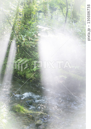 森の清流に光芒が差し込む風景 大山木谷沢渓流 森の清流に光芒が差し込む風景 大山木谷沢渓流 130886738