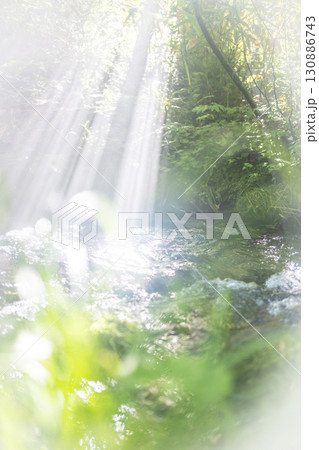 森の清流に光芒が差し込む風景　大山木谷沢渓流 130886743